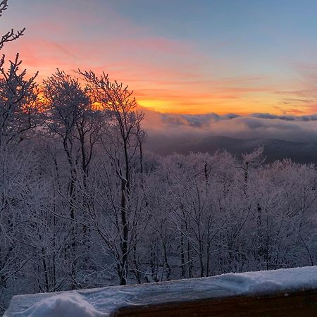 Above The Clouds Villa West Jefferson Eksteriør bilde